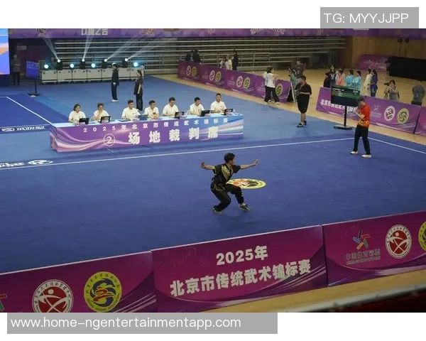 太极与搏击的巅峰对决视频解析传统武术与现代格斗的精彩碰撞